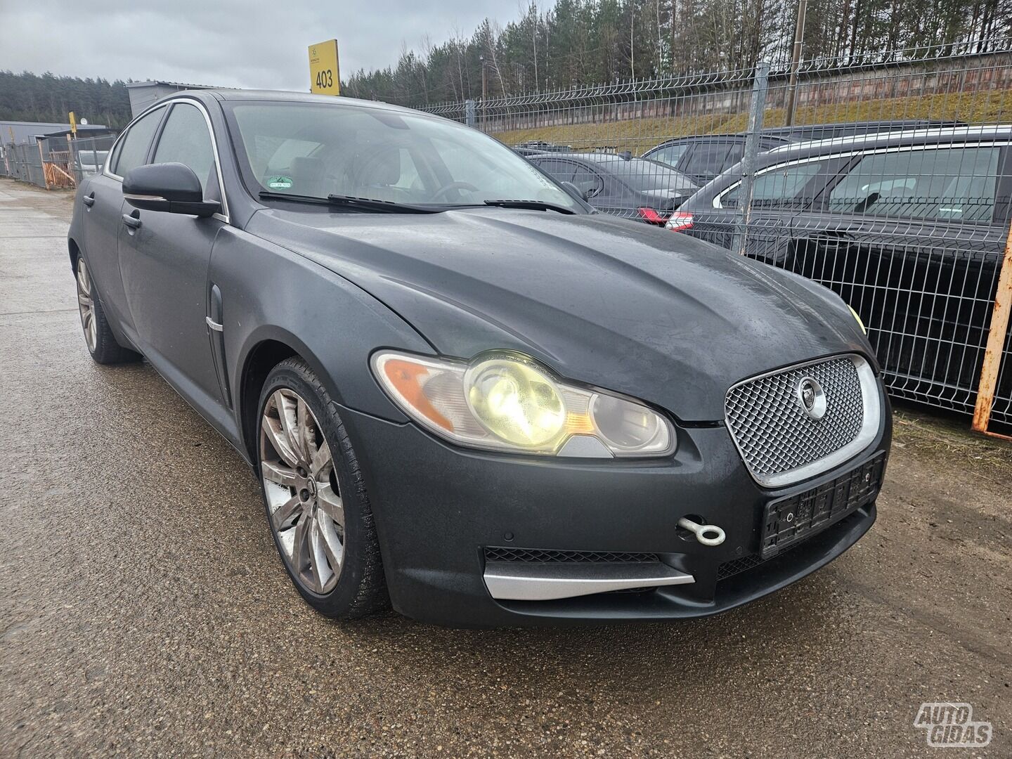 Jaguar XF 2010 m Sedanas