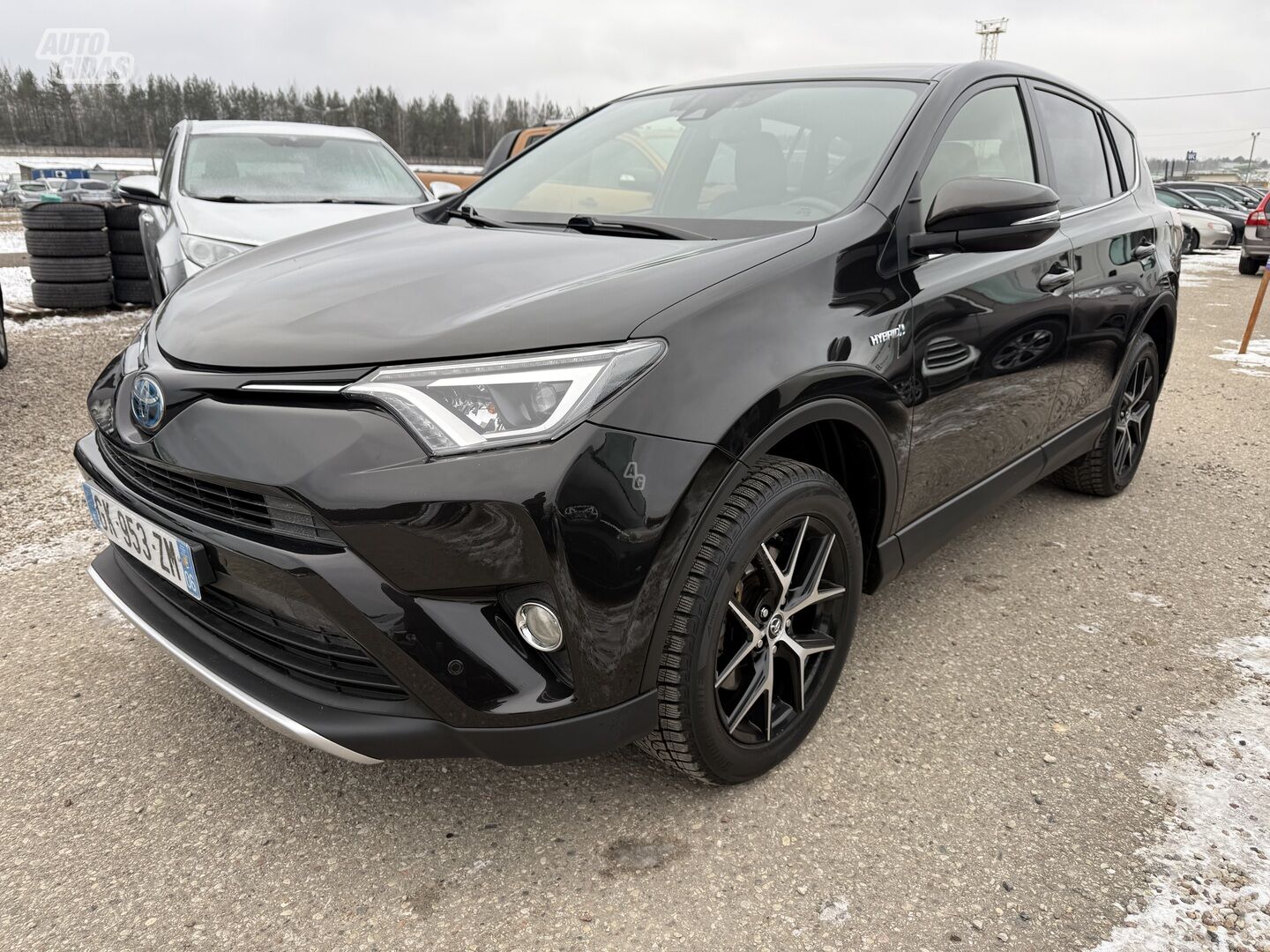 Toyota RAV4 2016 m Visureigis / Krosoveris