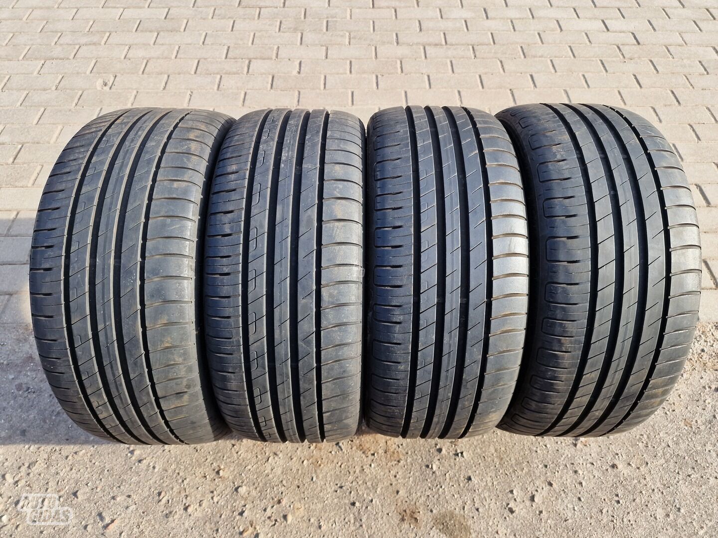 Goodyear EFFICIENT GRIP PERFO R18 vasarinės padangos lengviesiems