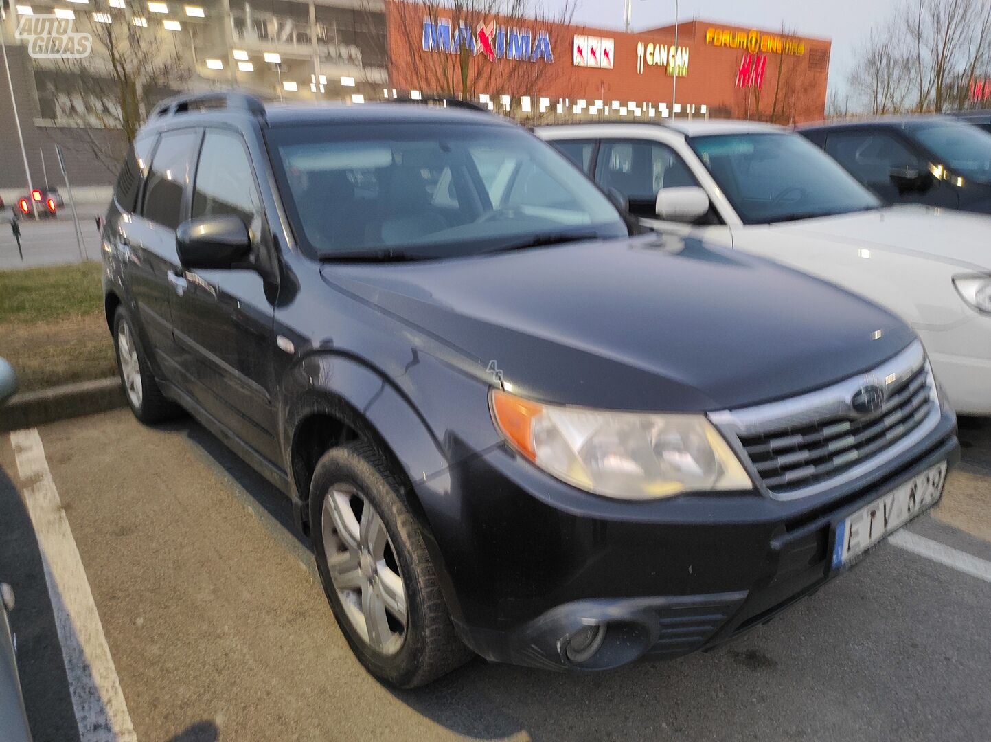 Subaru Forester 2010 m Visureigis / Krosoveris