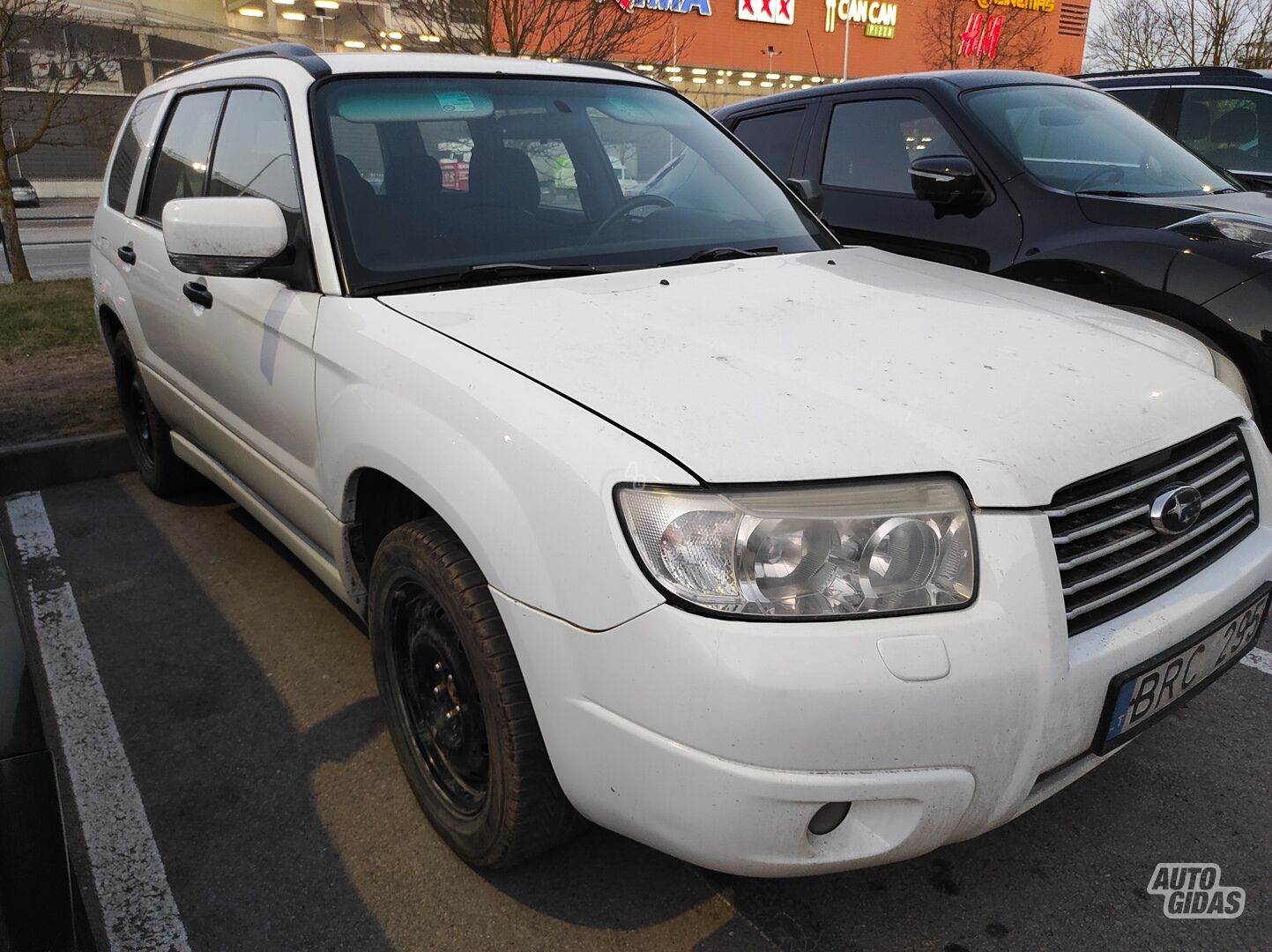 Subaru Forester 2006 y Off-road / Crossover