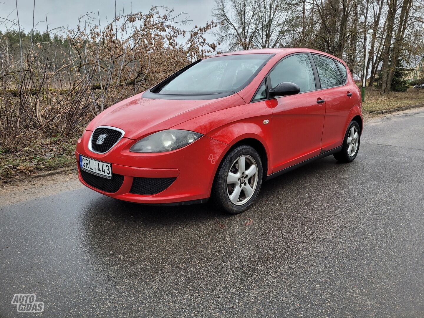 Seat Altea 2004 m Vienatūris