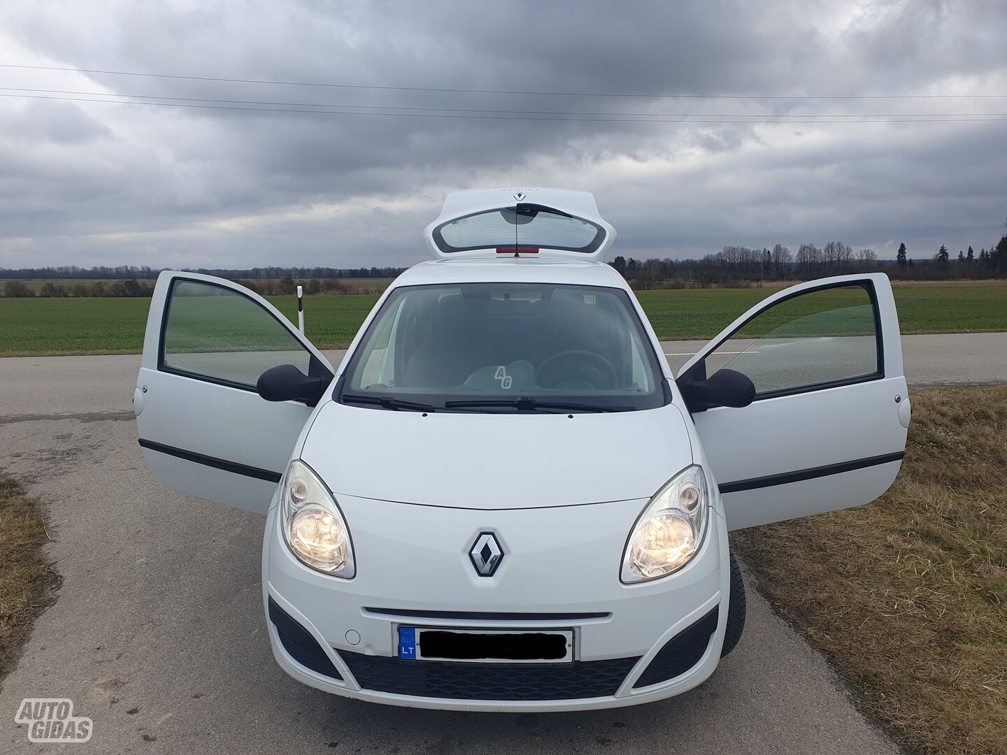 Renault Twingo 2010 y Hatchback