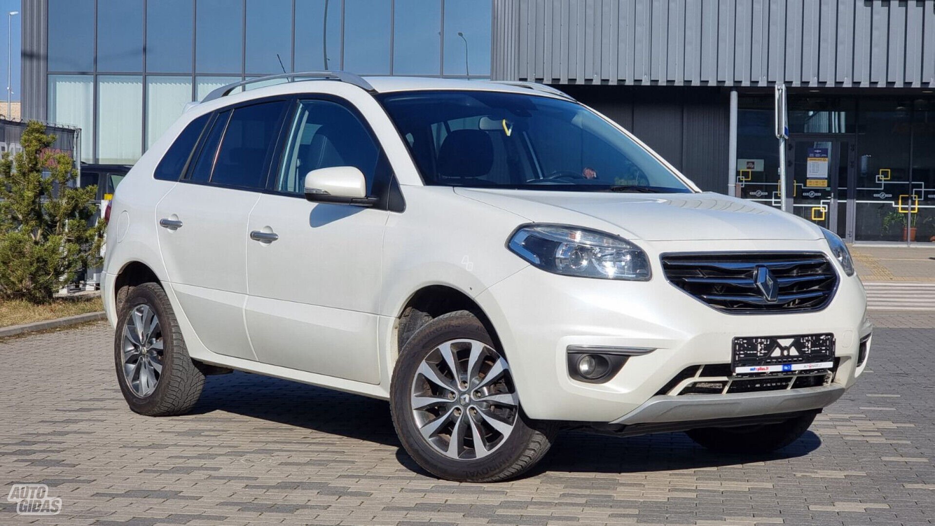 Renault Koleos 2012 m Visureigis / Krosoveris