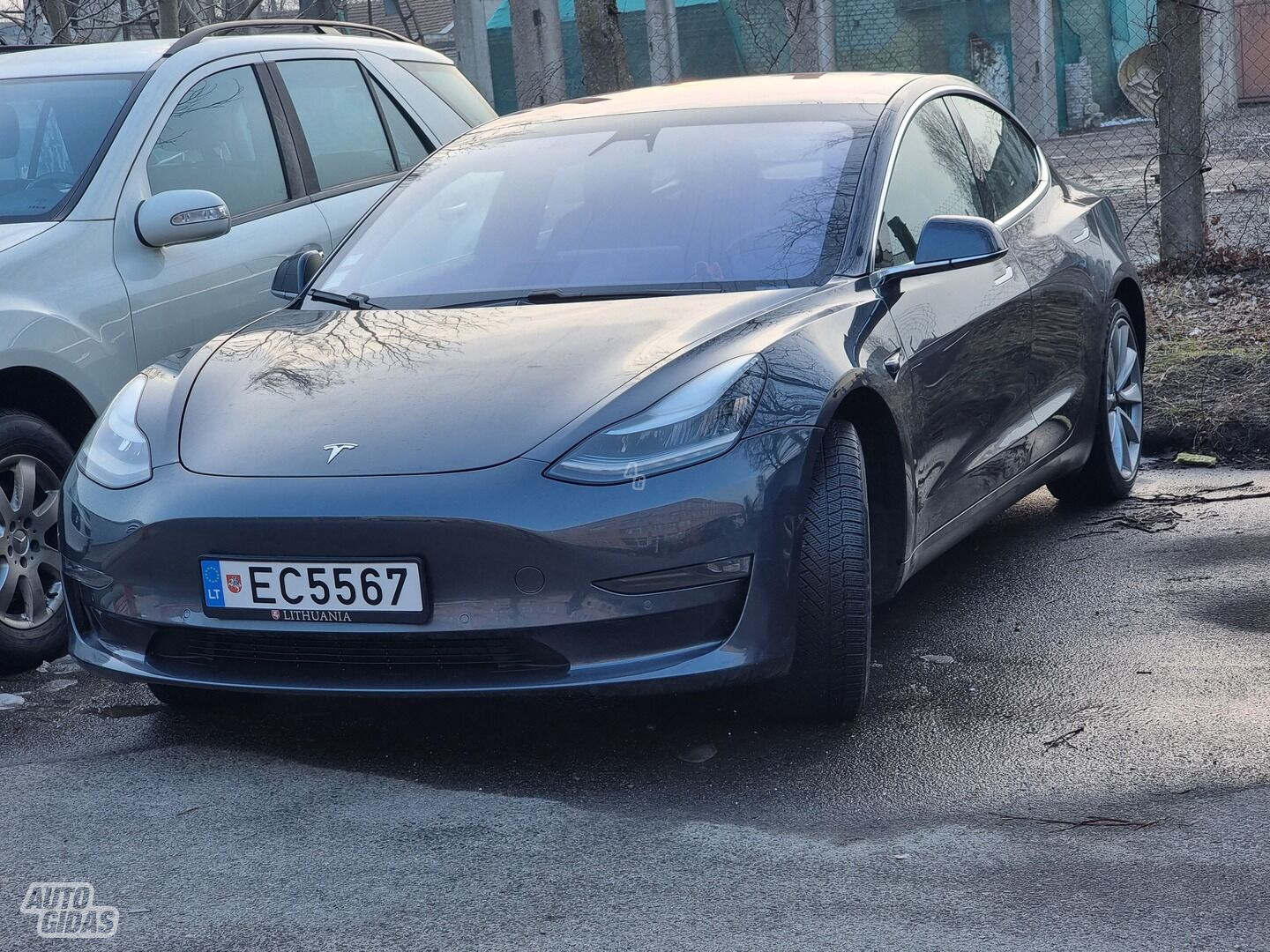 Tesla Model 3 2019 m Sedanas