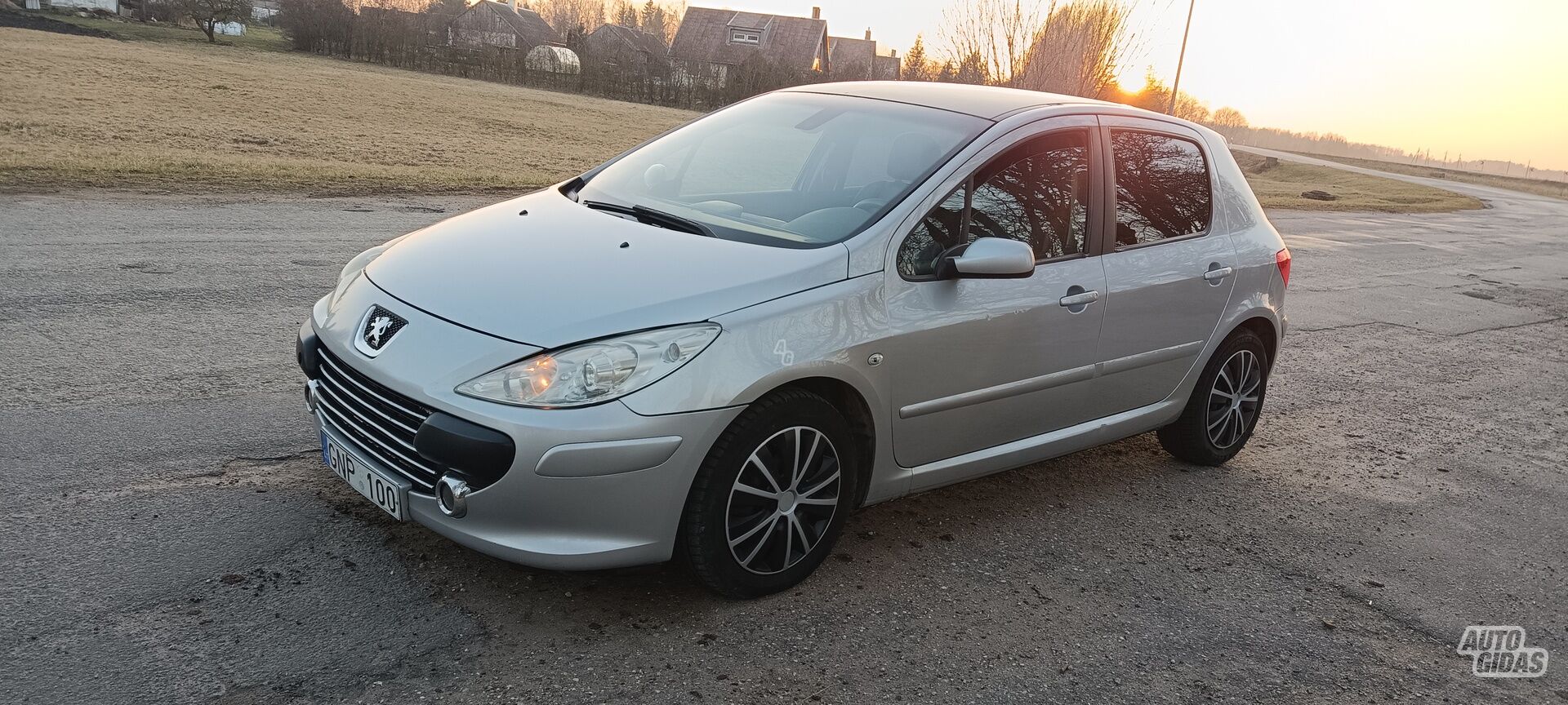 Peugeot 307 2007 y Hatchback