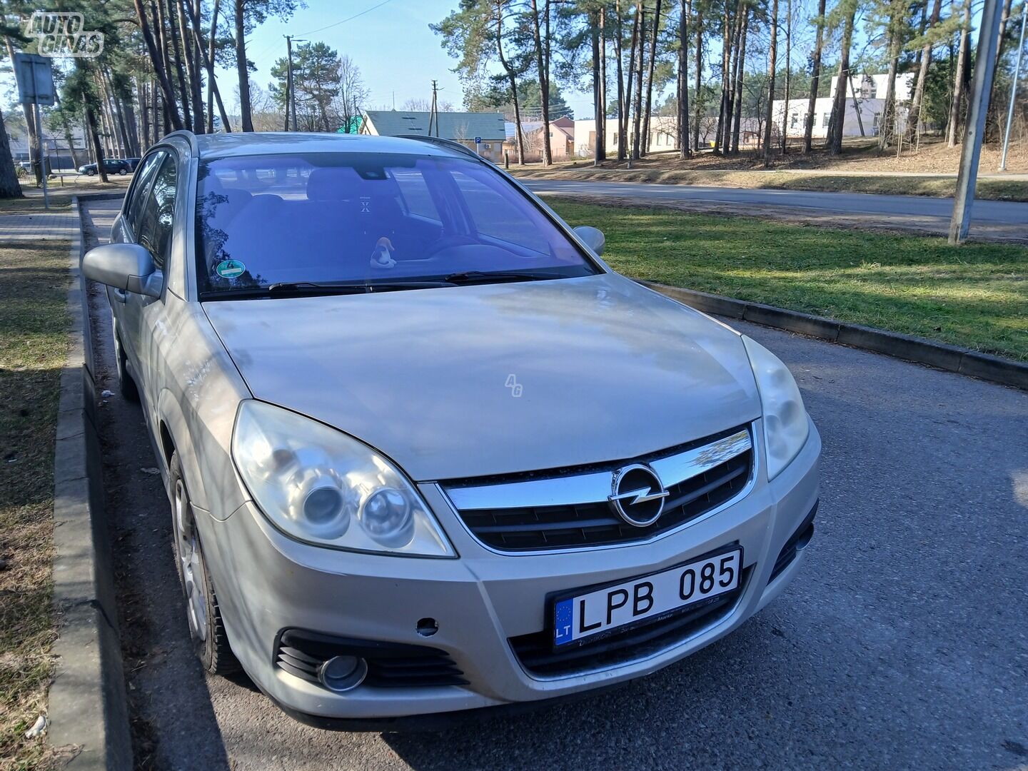 Opel Signum 2006 m Hečbekas