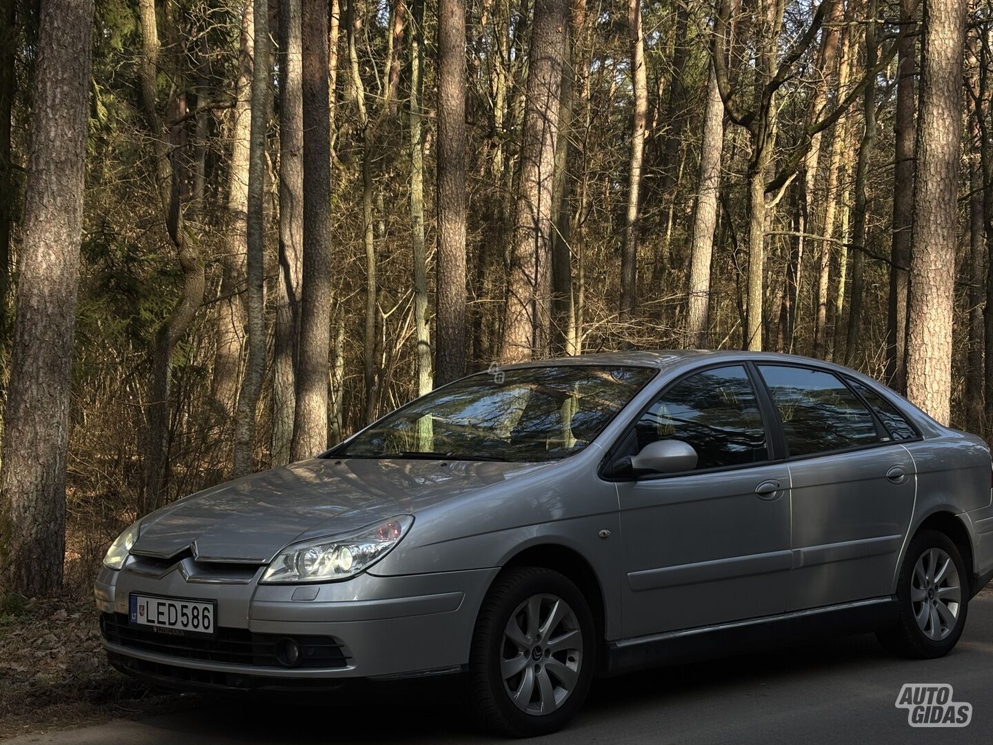 Citroen C5 2005 г Хэтчбек