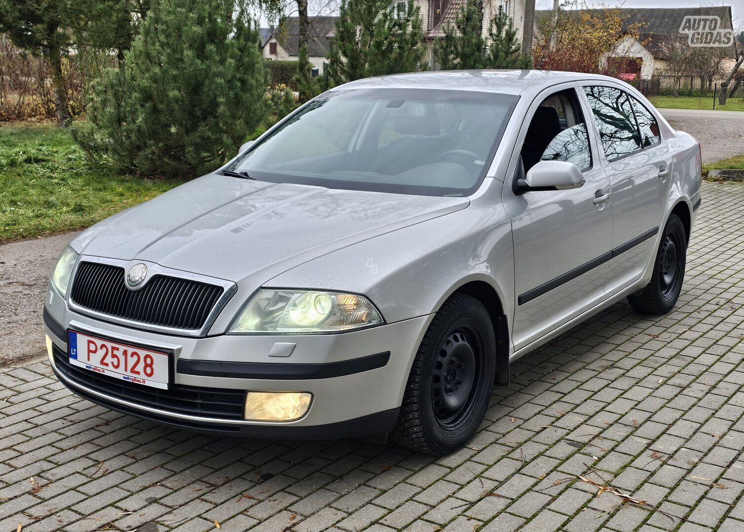 Skoda Octavia 2006 m Hečbekas