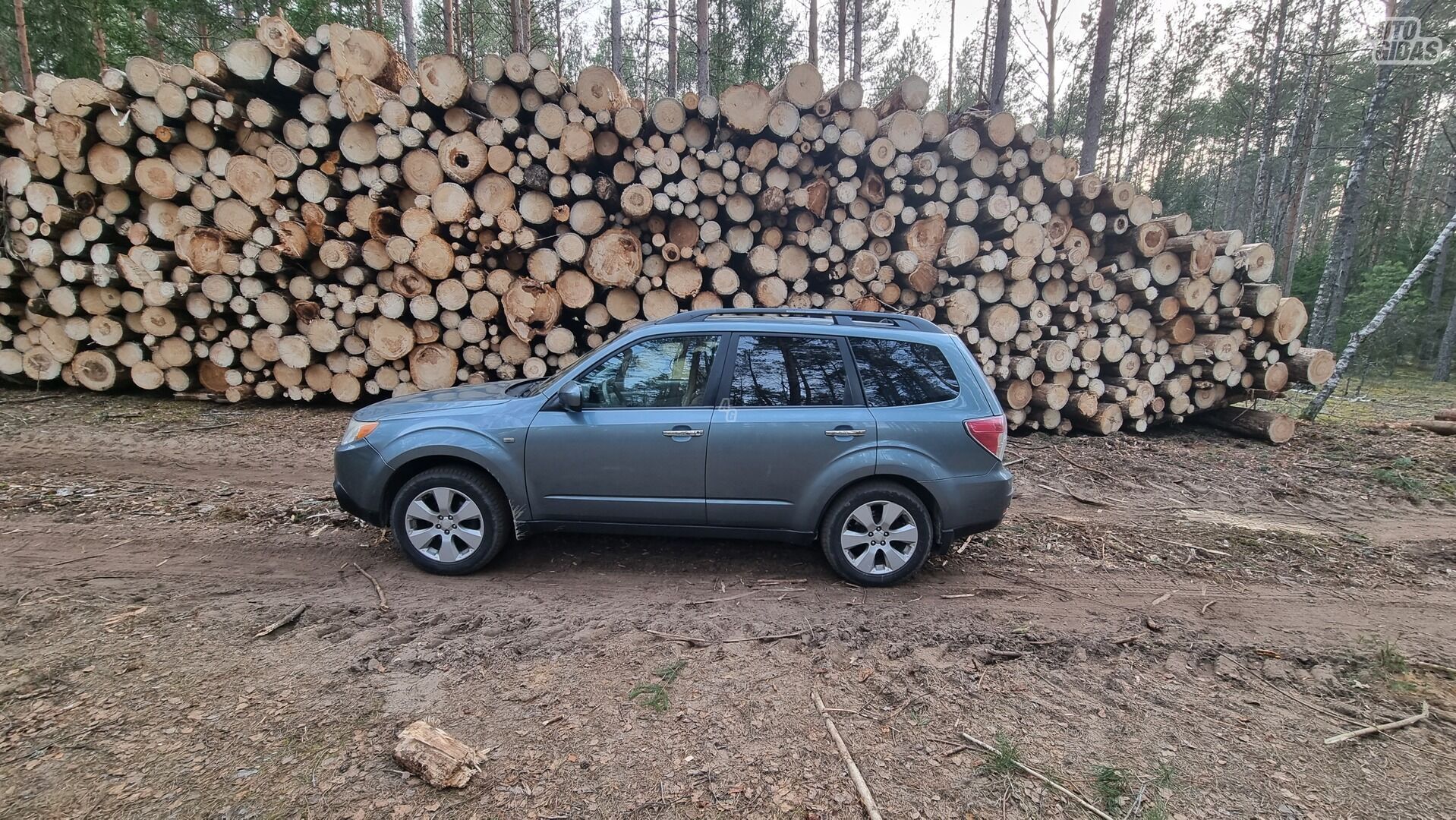 Subaru Forester 2009 m Visureigis / Krosoveris