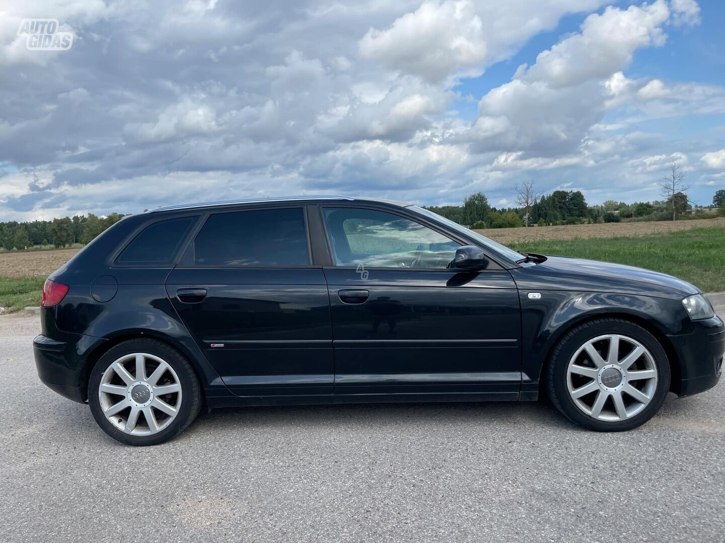 Audi A3 2006 г Хэтчбек