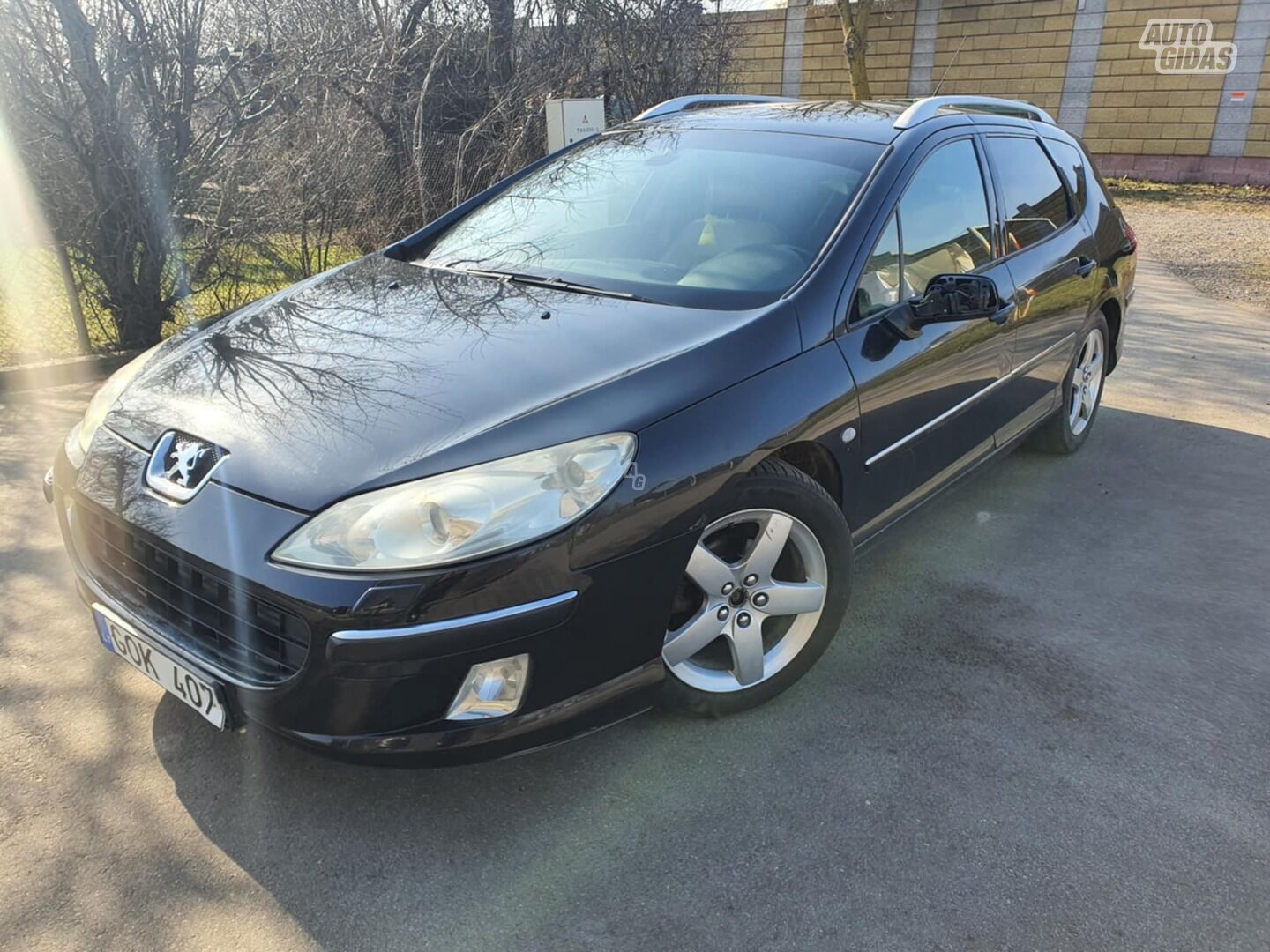 Peugeot 407 2005 y Wagon