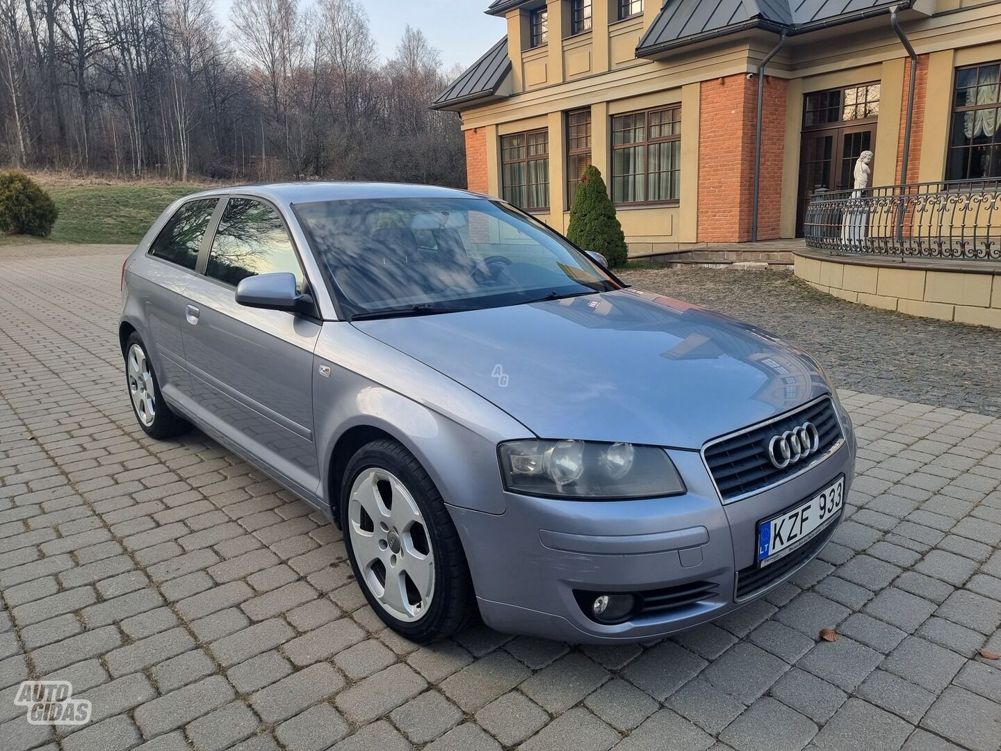 Audi A3 2004 m Hečbekas