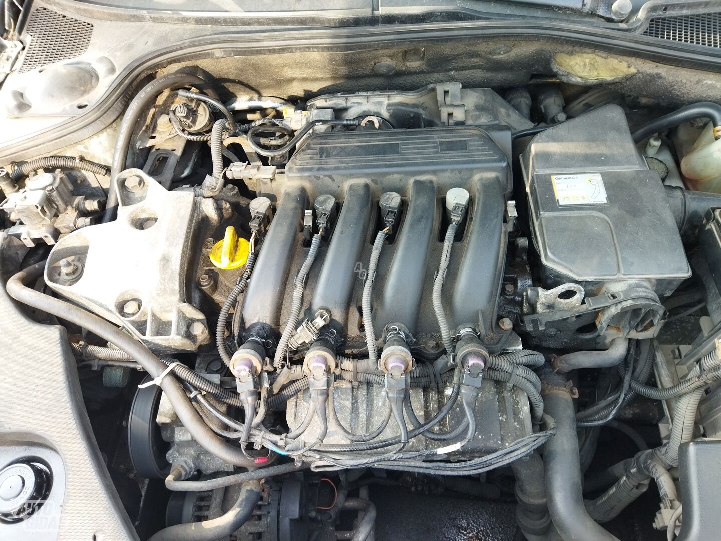 Renault Laguna II 1.6  2001 г запчясти