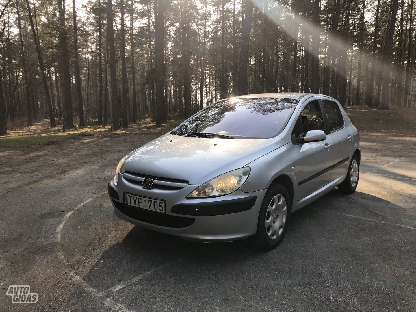 Peugeot 307 2003 y Hatchback