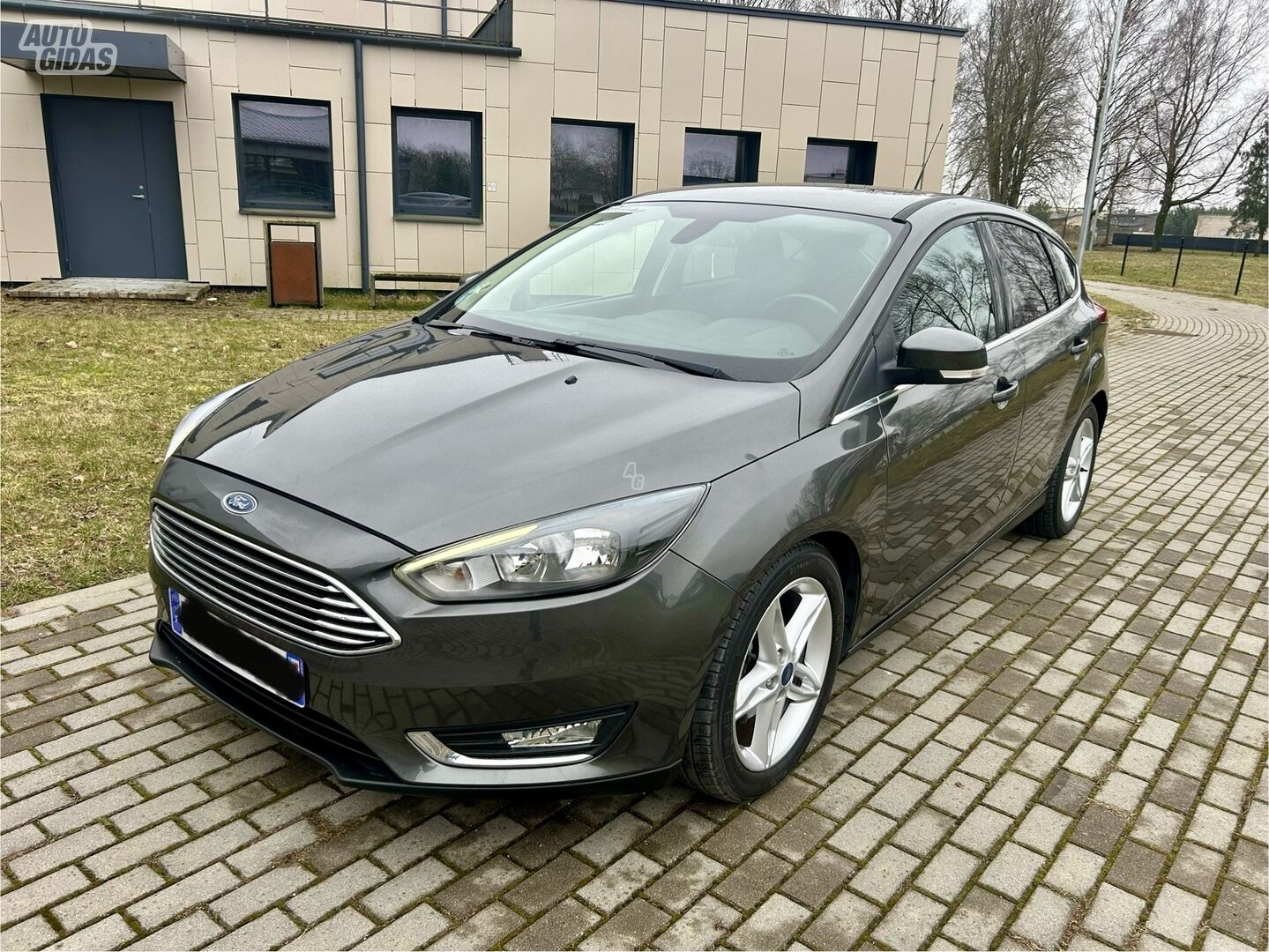 Ford Focus 2016 m Visureigis / Krosoveris