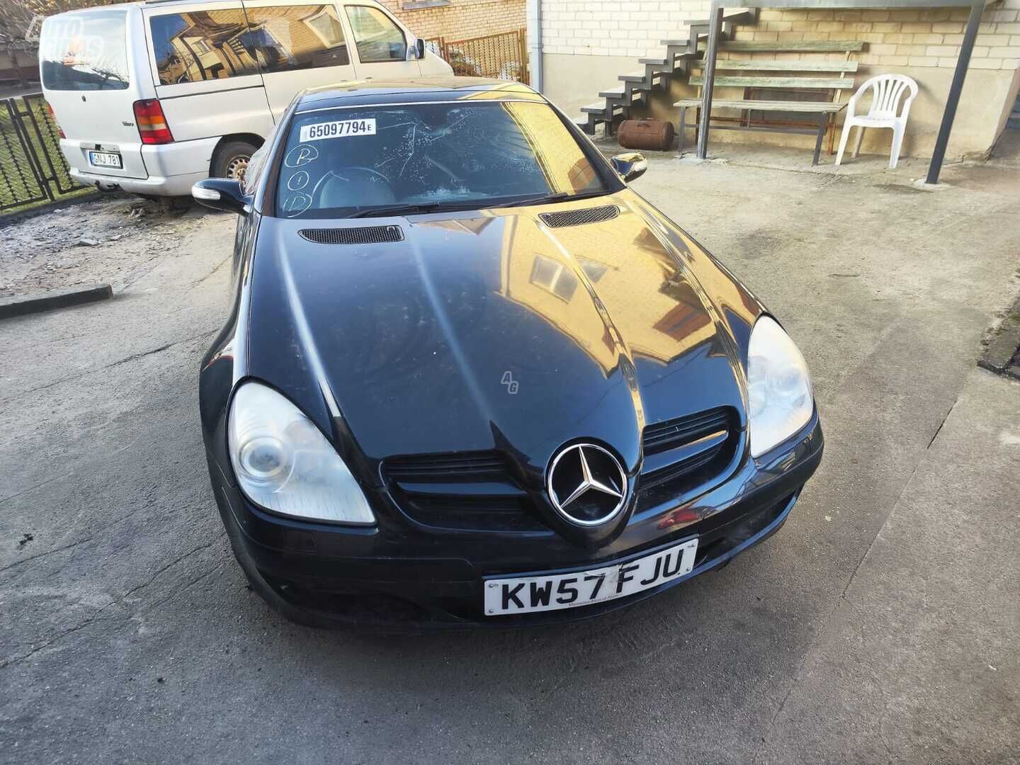 Mercedes-Benz Slk Klasė 2008 m dalys