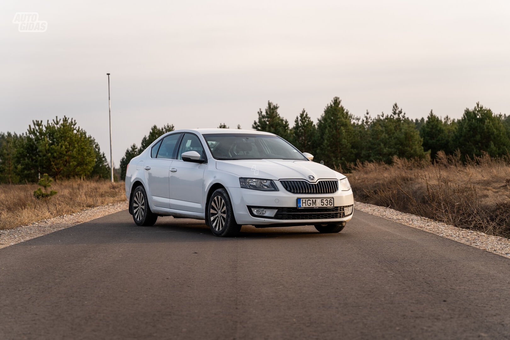 Skoda Octavia 2014 г Хэтчбек