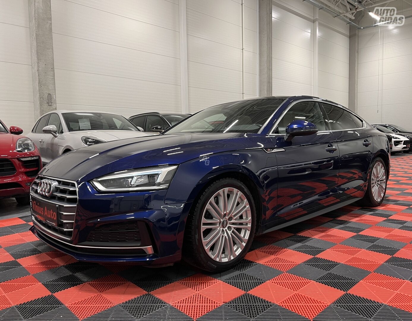 Audi A5 Sportback 2019 y Hatchback