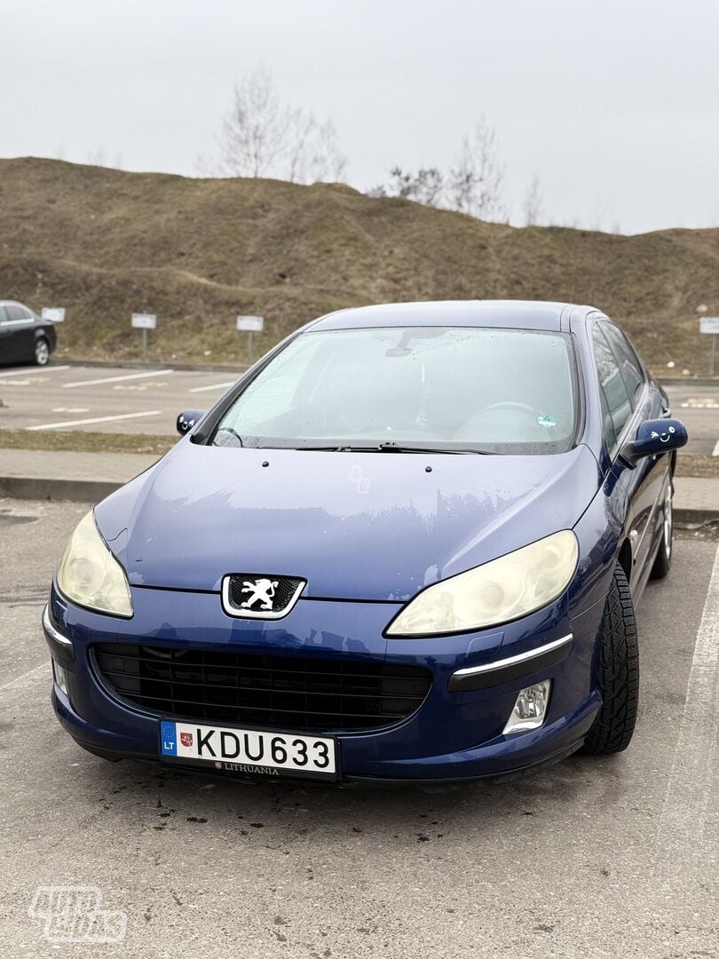 Peugeot 407 2004 m Sedanas