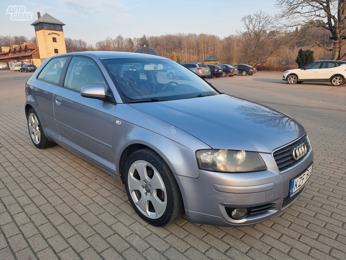 Audi A3 2004 m Hečbekas