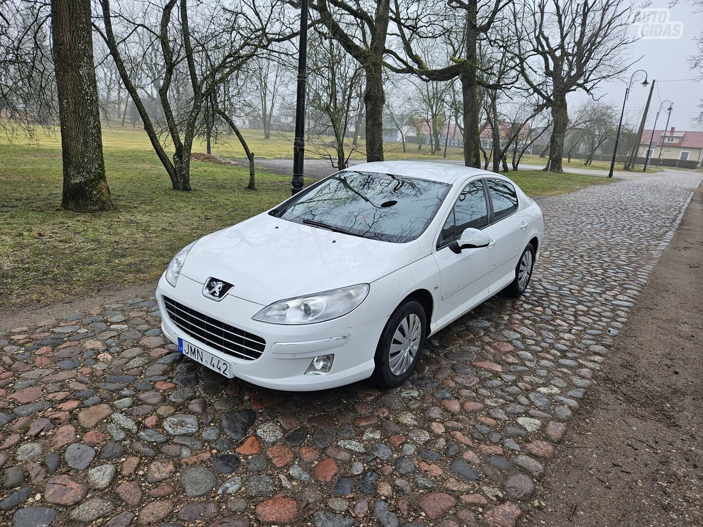 Peugeot 407 2011 y Sedan