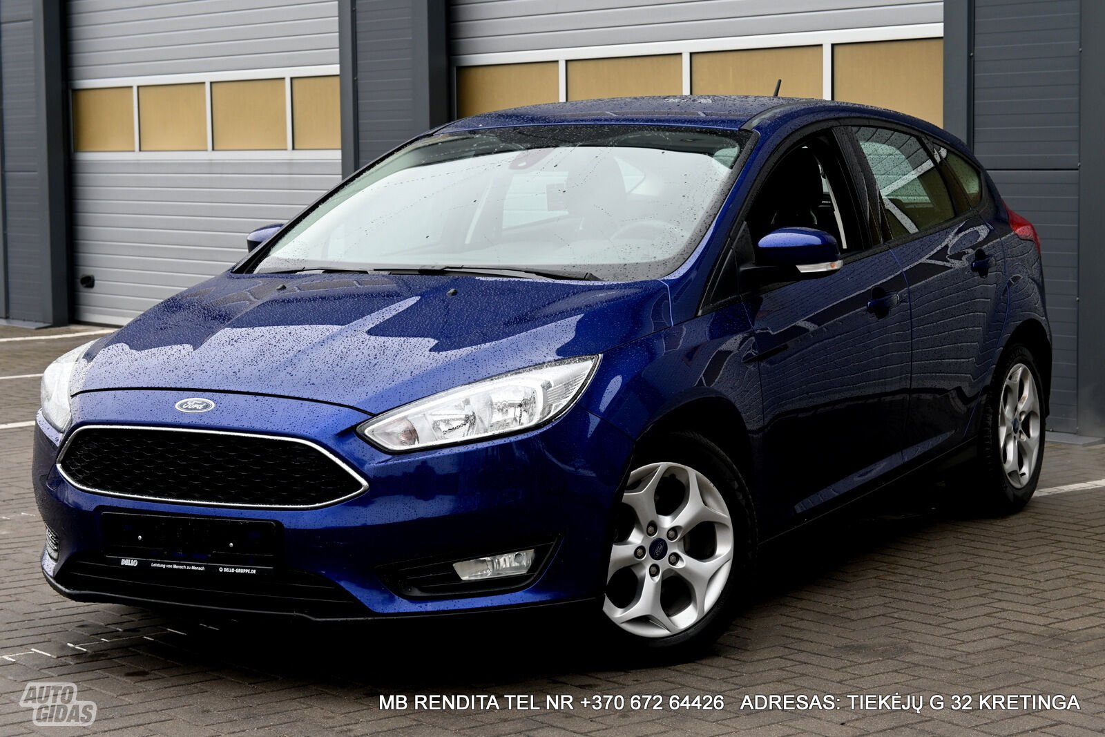 Ford Focus 2016 y Hatchback