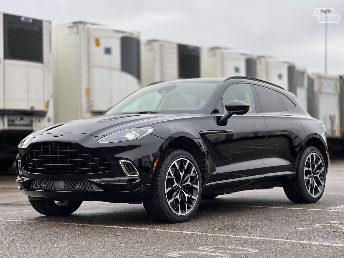 Aston Martin DBX 2021 г Внедорожник / Кроссовер