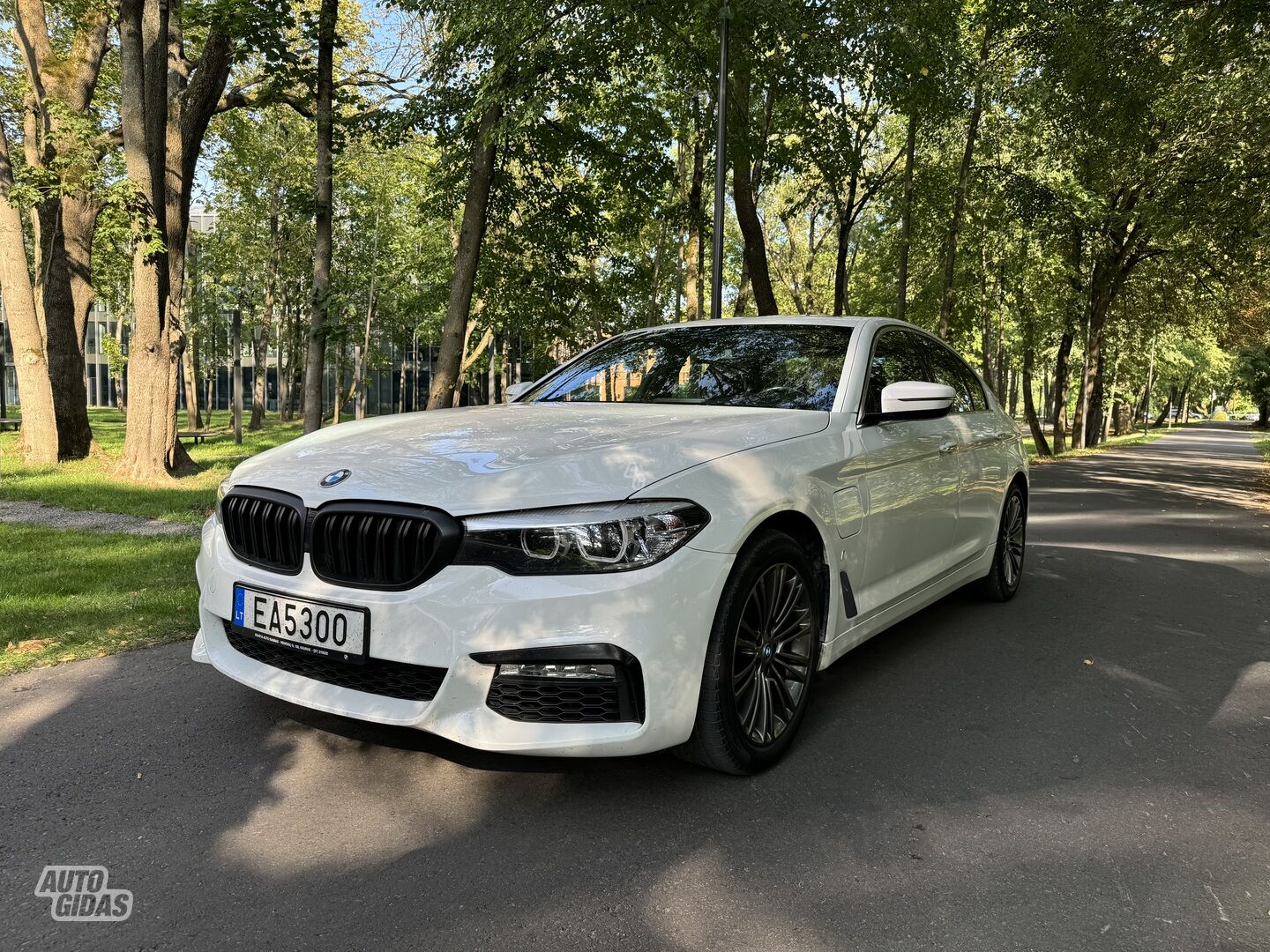 Bmw 530 2018 m Sedanas