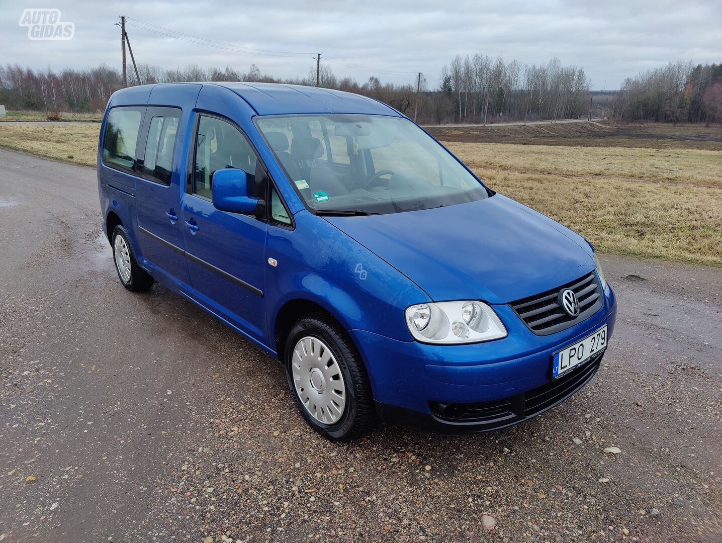 Volkswagen Caddy Maxi 2008 y Van