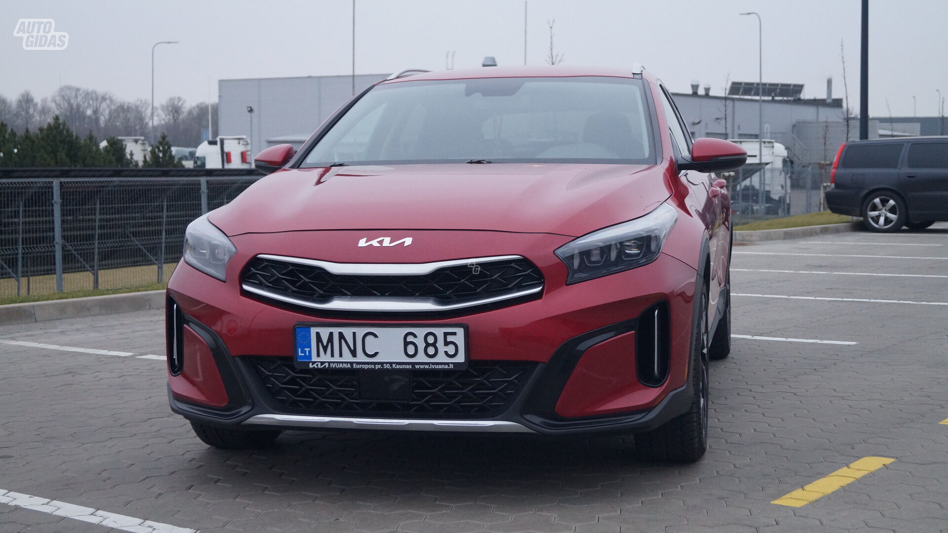 Kia XCeed 2023 m Visureigis / Krosoveris