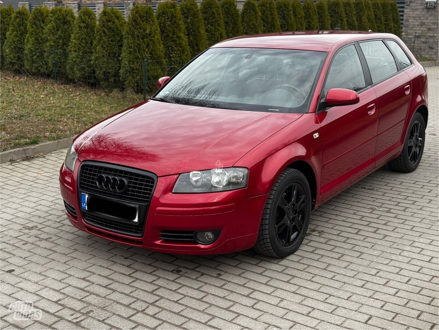 Audi A3 2008 г Хэтчбек