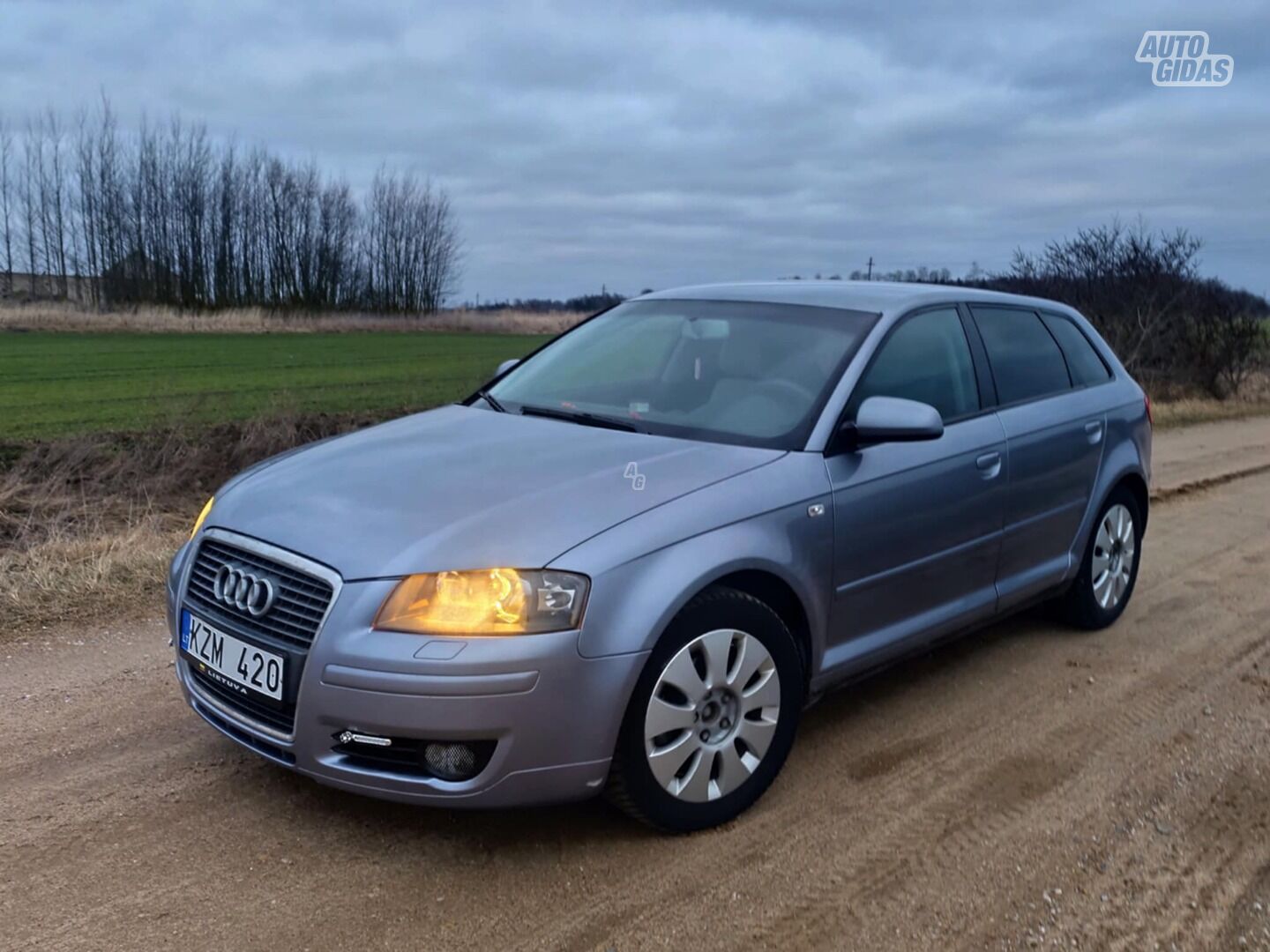 Audi A3 2008 m Hečbekas