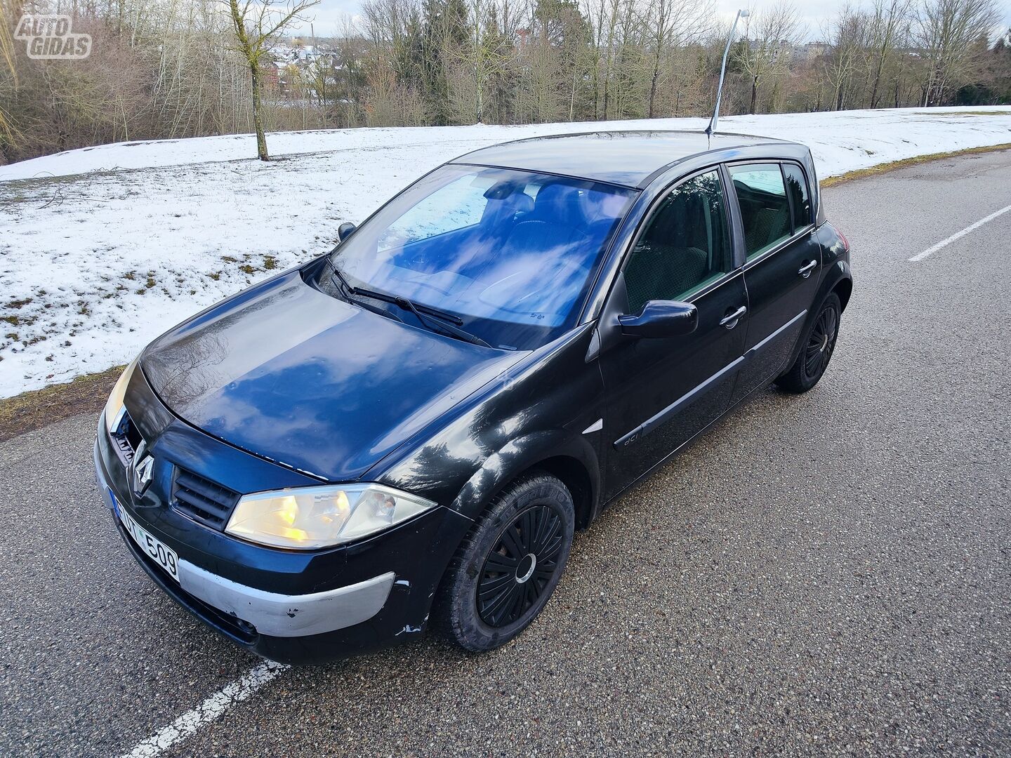 Renault Megane 2004 m Hečbekas