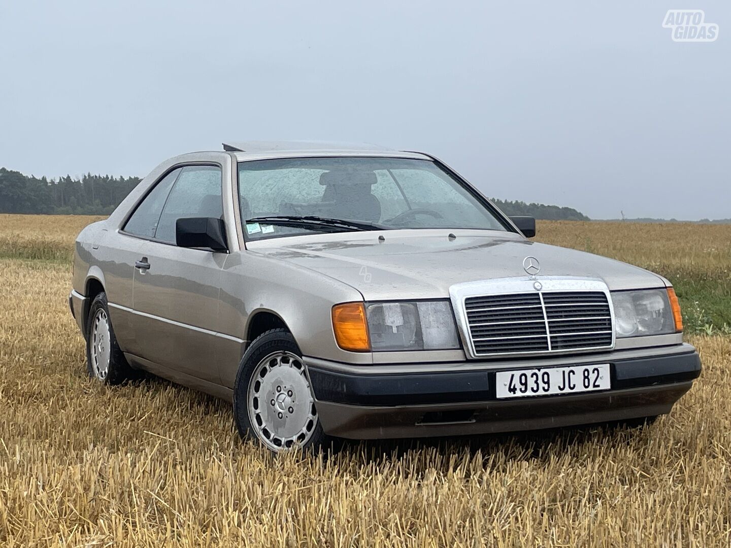 Mercedes-Benz CE 300 1988 г Купе