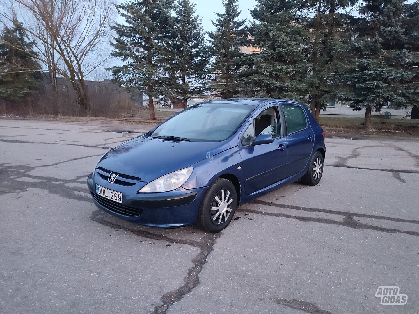 Peugeot 307 2004 m Hečbekas