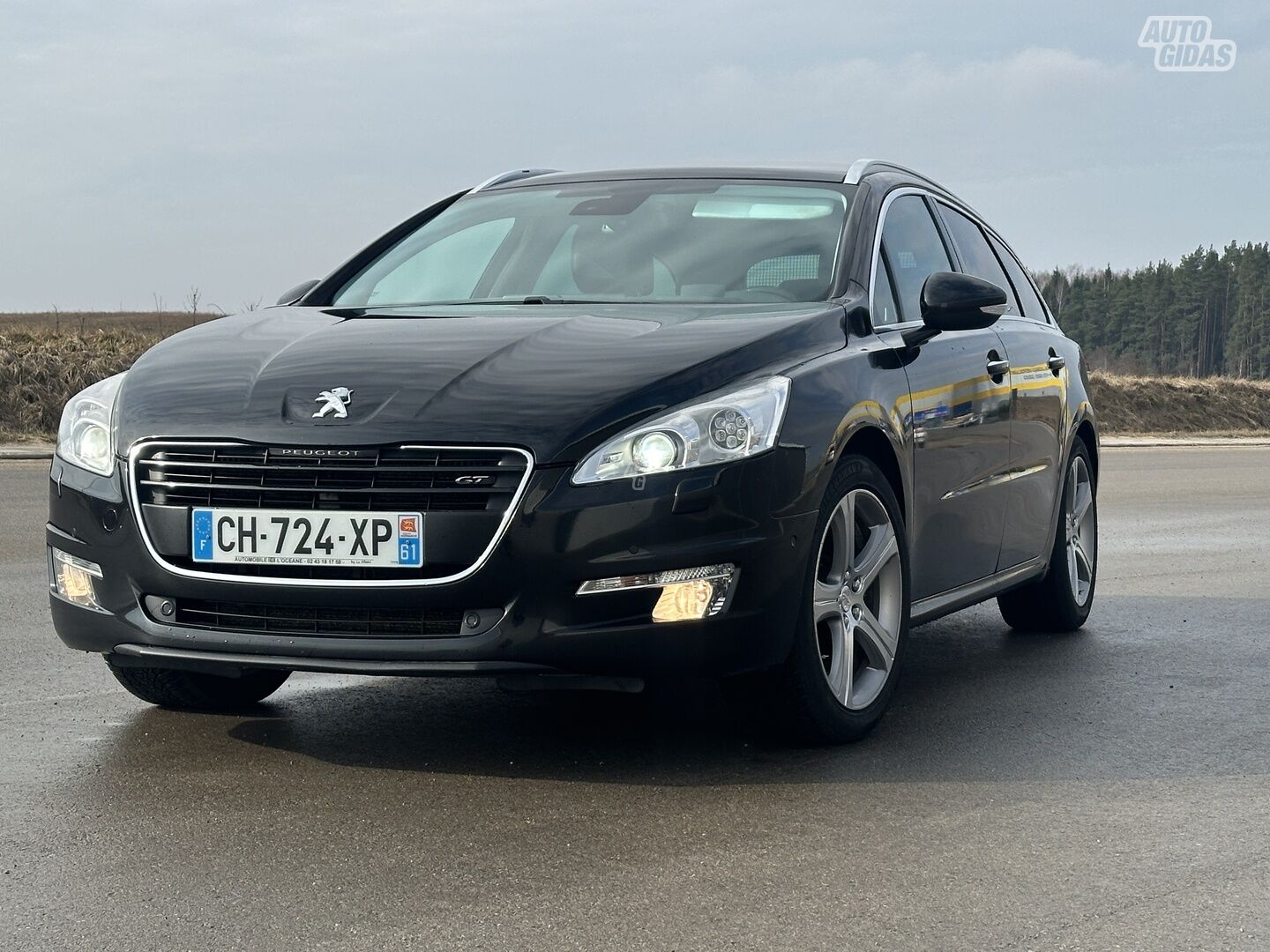 Peugeot 508 2012 y Wagon