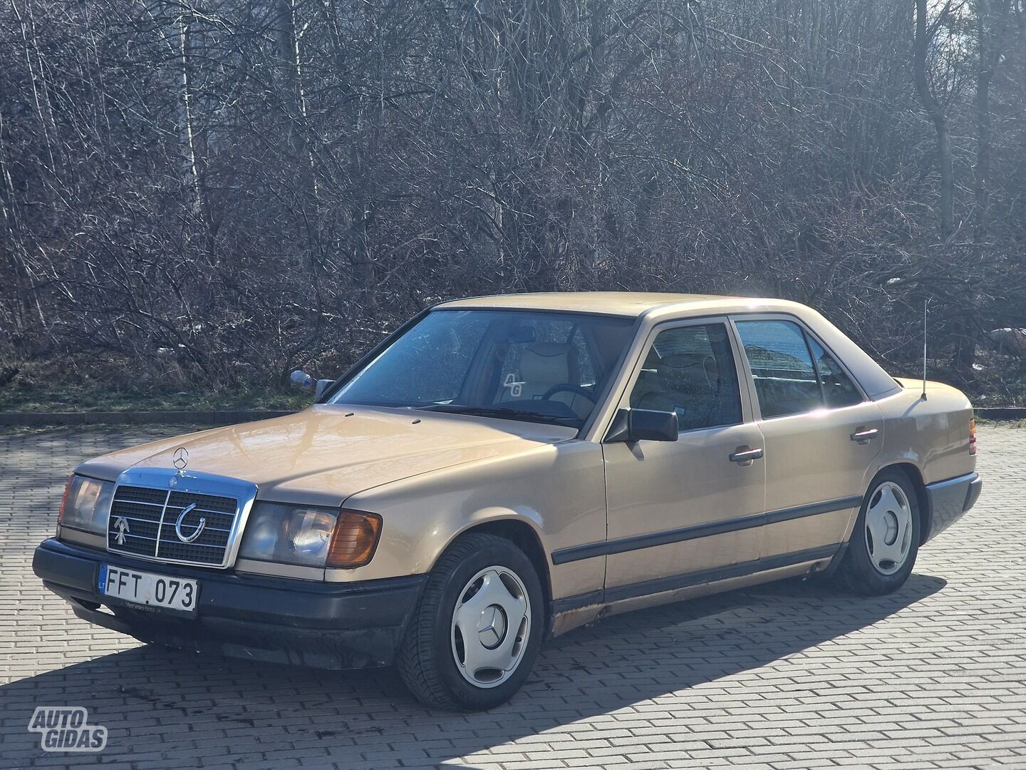 Mercedes-Benz W124 1986 y Sedan