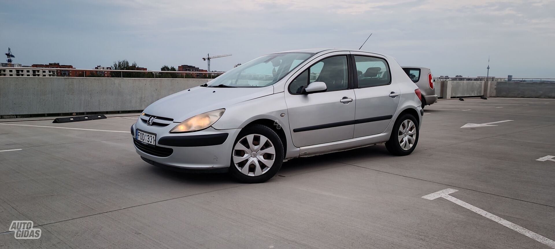 Peugeot 307 2003 m Hečbekas