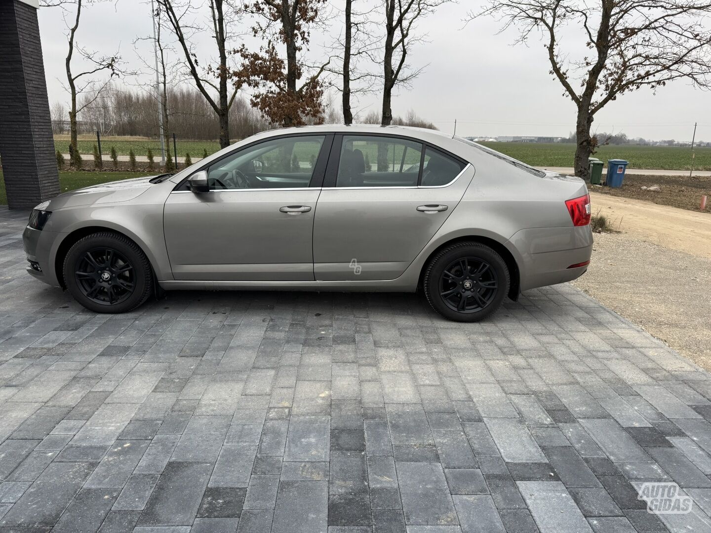 Skoda Octavia 2017 y Hatchback