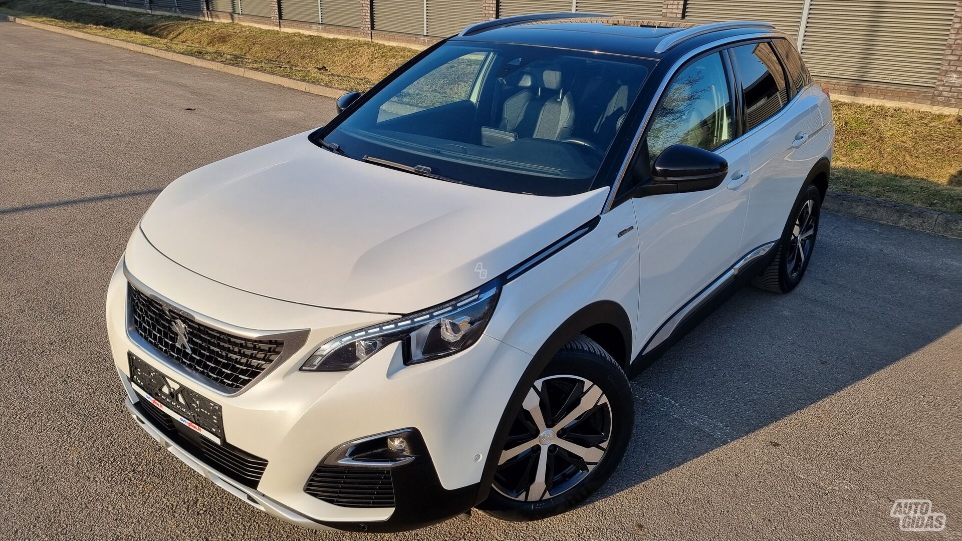 Peugeot 3008 2019 m Visureigis / Krosoveris