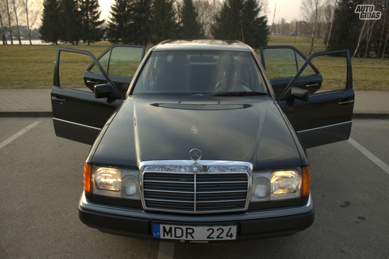 Mercedes-Benz W124 1993 y Sedan