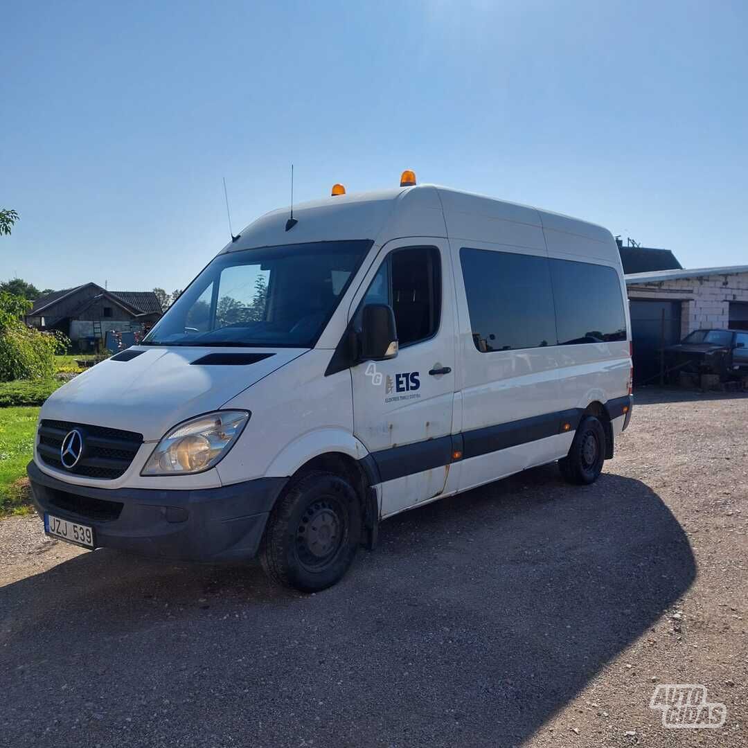 Mercedes-Benz Sprinter 2010 y Heavy minibus