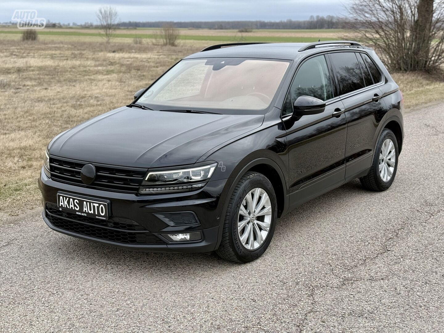 Volkswagen Tiguan 2017 г Внедорожник / Кроссовер