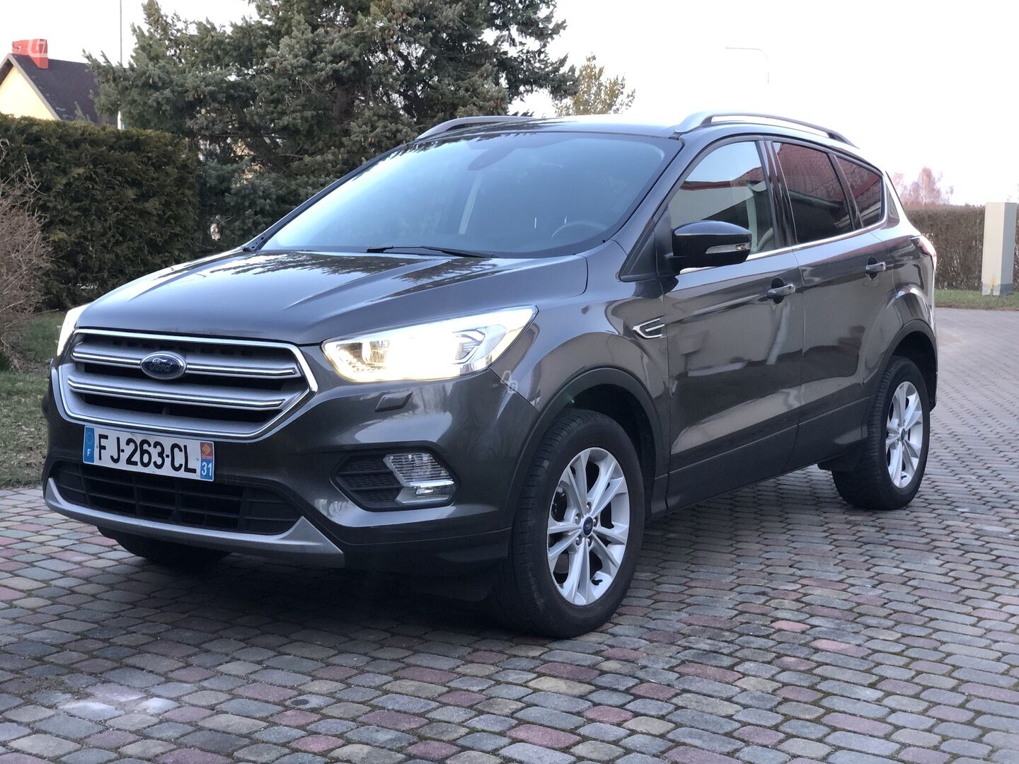 Ford Kuga 2019 m Visureigis / Krosoveris