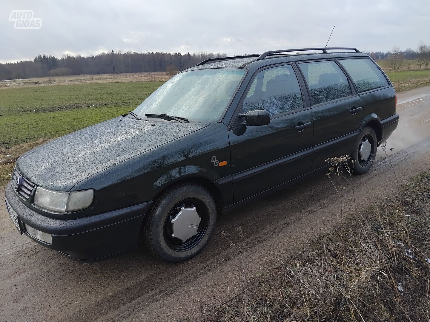 Volkswagen Passat 1996 y Wagon