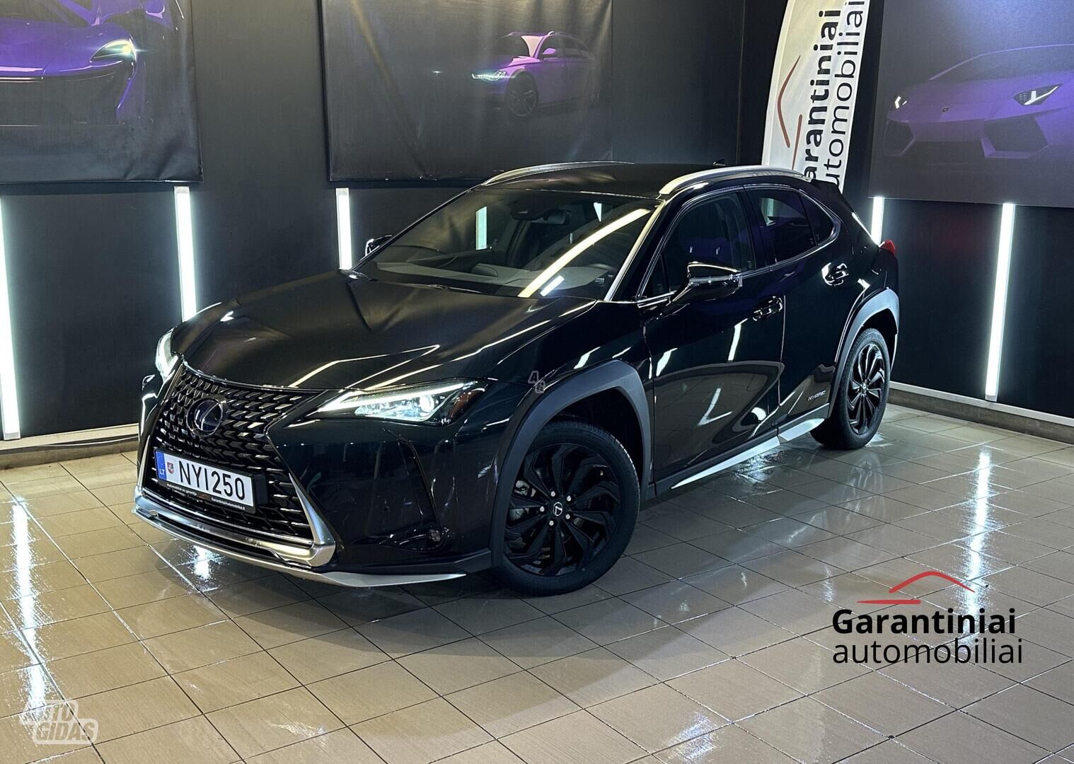 Lexus UX 250h 2020 m Visureigis / Krosoveris