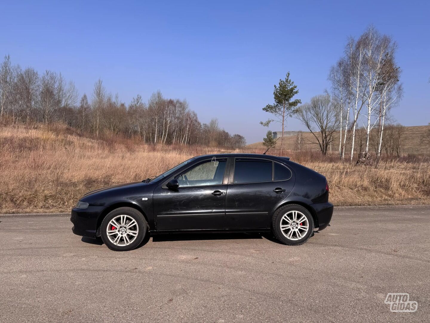 Seat Leon 2000 m dalys