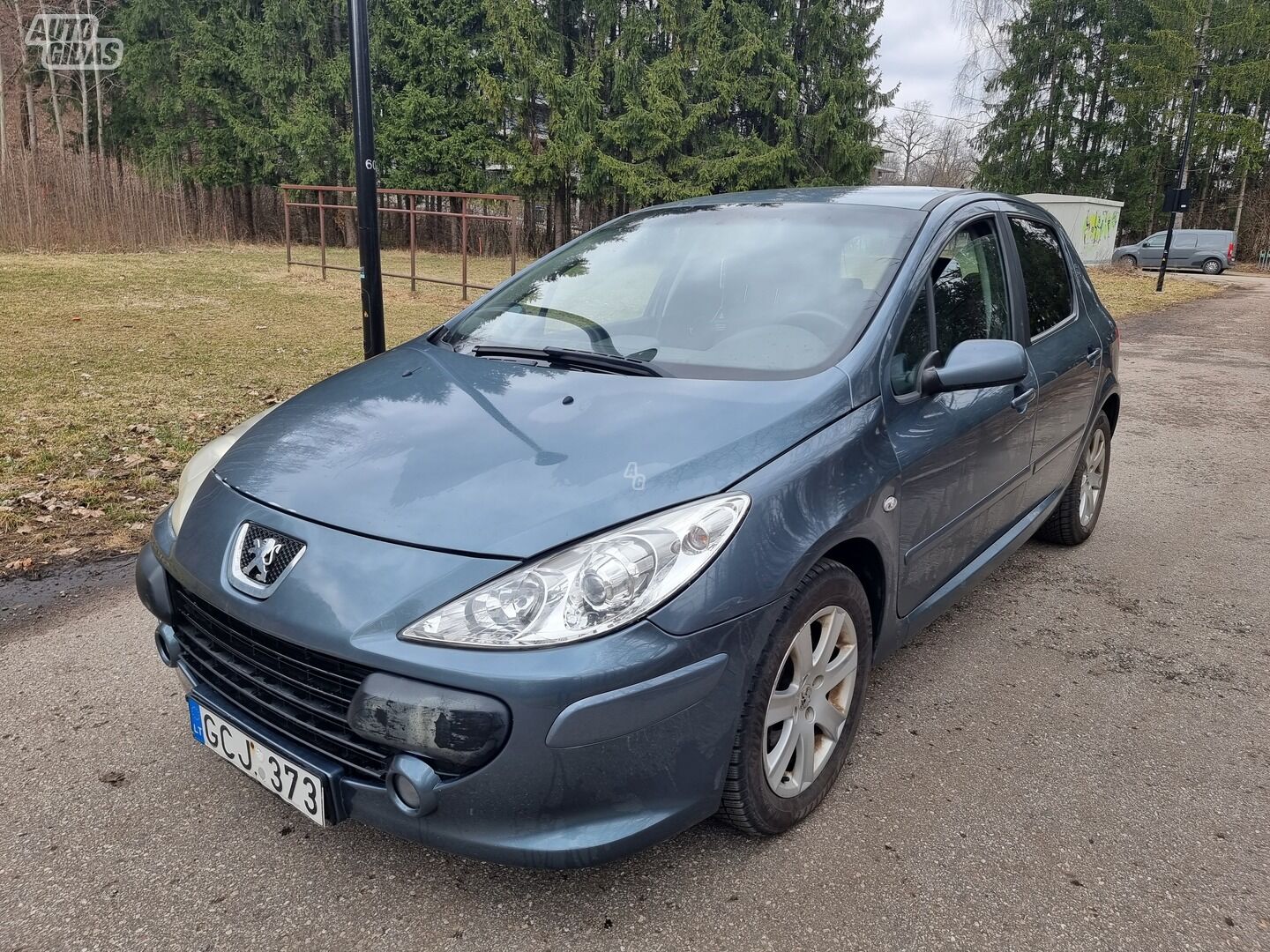 Peugeot 307 2007 m Hečbekas