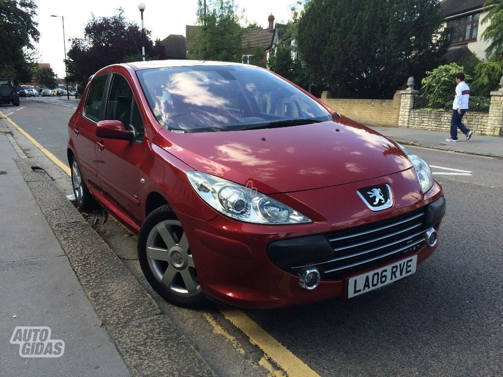 Peugeot 307 II 2006 m dalys